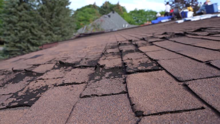  Aspinwall, PA Roofing Service Pros